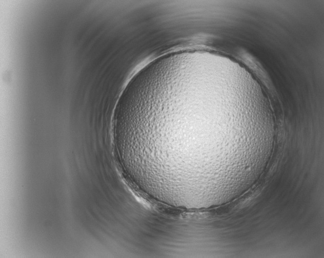 X0000080130858200612302034