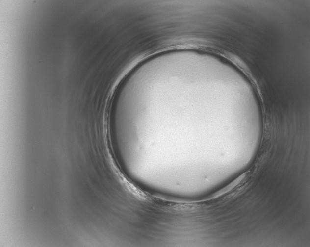 X0000080130859200612302034