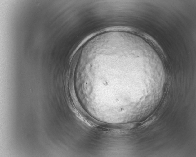 X0000080130860200612302034