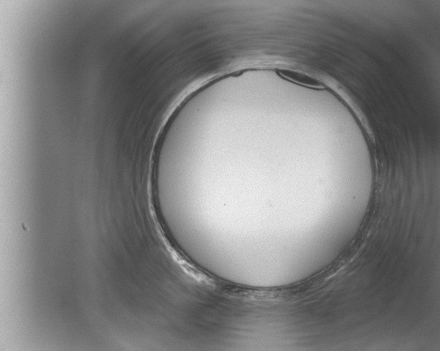 X0000080130861200612302034