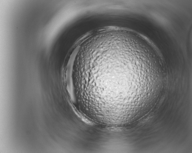 X0000080130862200612302034