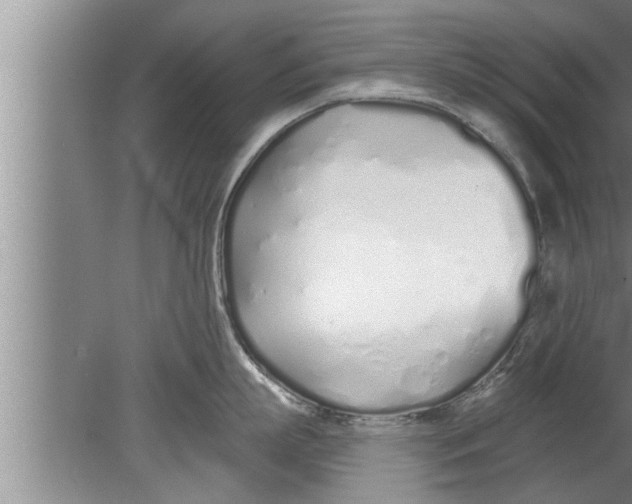 X0000080130863200612302034