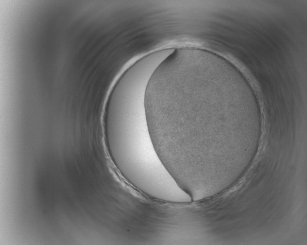 X0000080130864200612302034