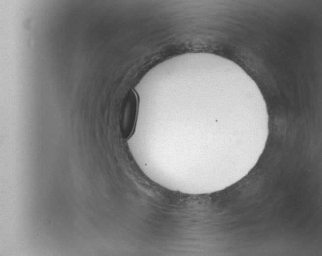 X0000080130865200612302033