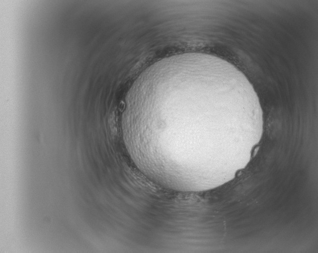 X0000080130866200612302033