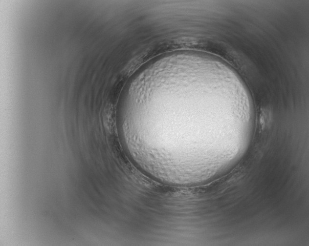 X0000080130867200612302033