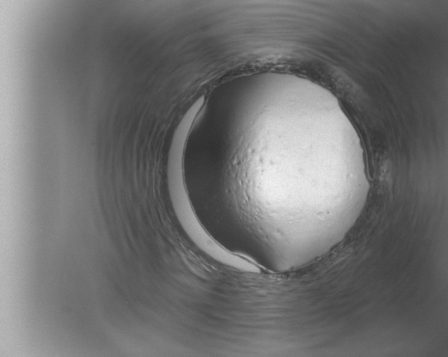 X0000080130868200612302033