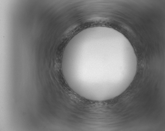 X0000080130869200612302033