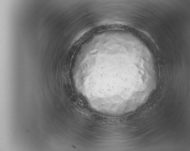 X0000080130871200612302033