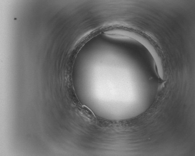 X0000080130872200612302033