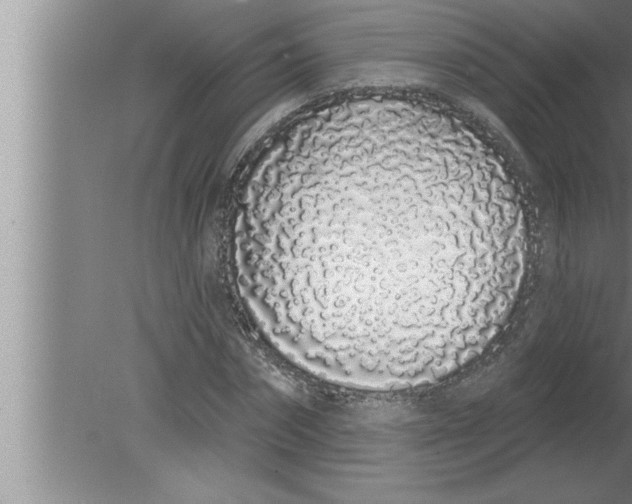 X0000080130874200612302033