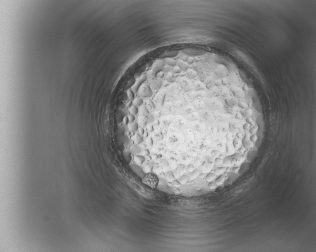 X0000080130875200612302033