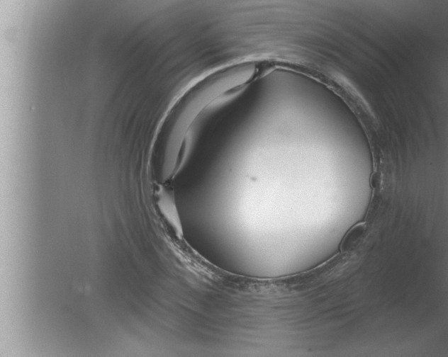 X0000080130876200612302033