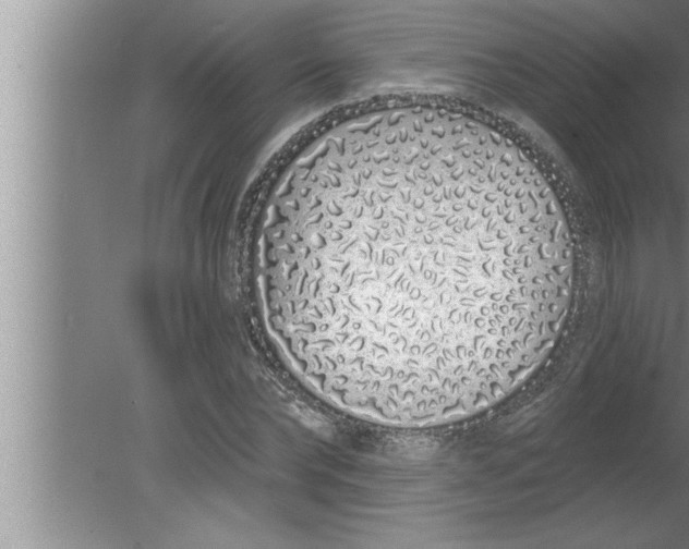 X0000080130878200612302033