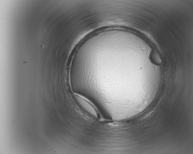 X0000080130879200612302033