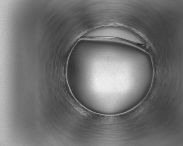 X0000080130881200612302033