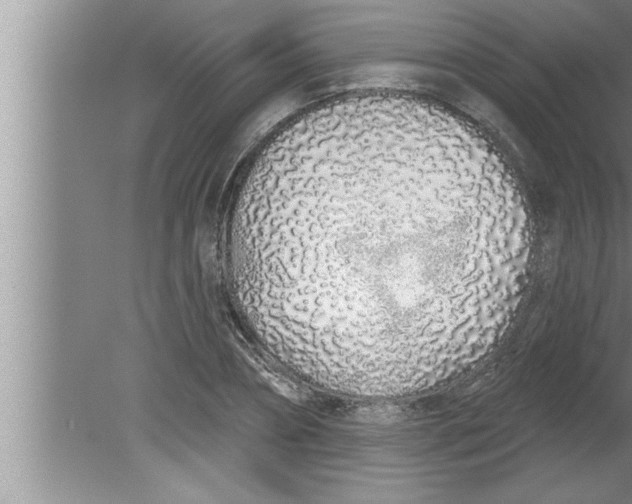 X0000080130882200612302033