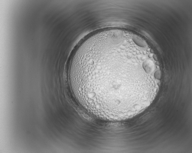 X0000080130883200612302033