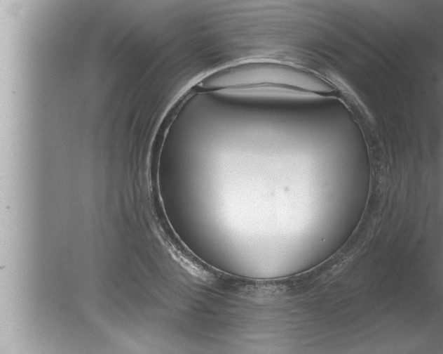 X0000080130884200612302033