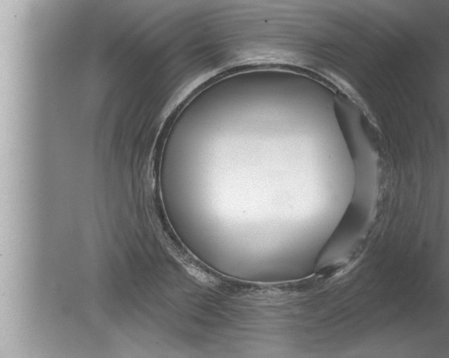 X0000080130885200612302033