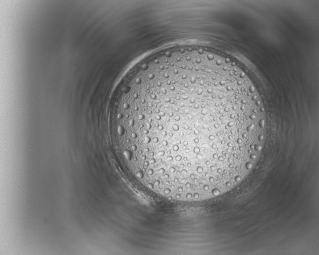 X0000080130886200612302033