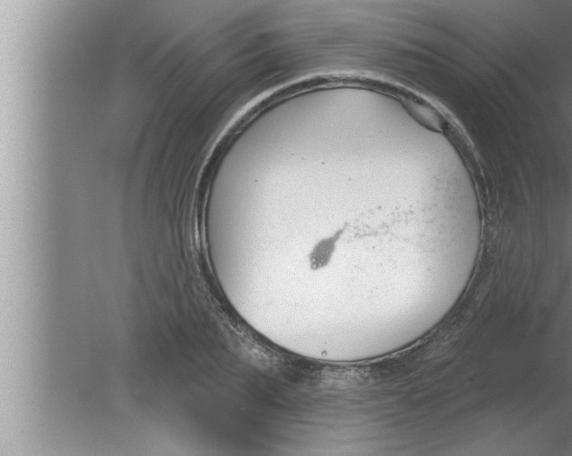 X0000080130887200612302033