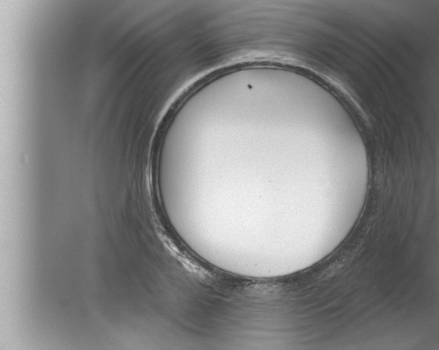 X0000080130888200612302033