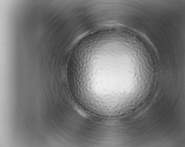 X0000080130889200612302033