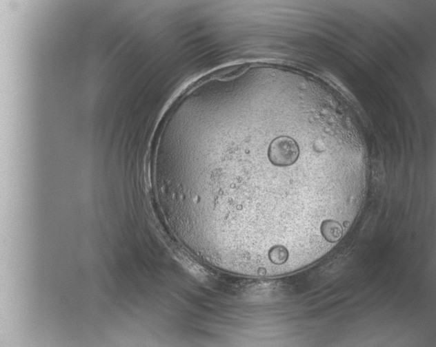 X0000080130891200612302033