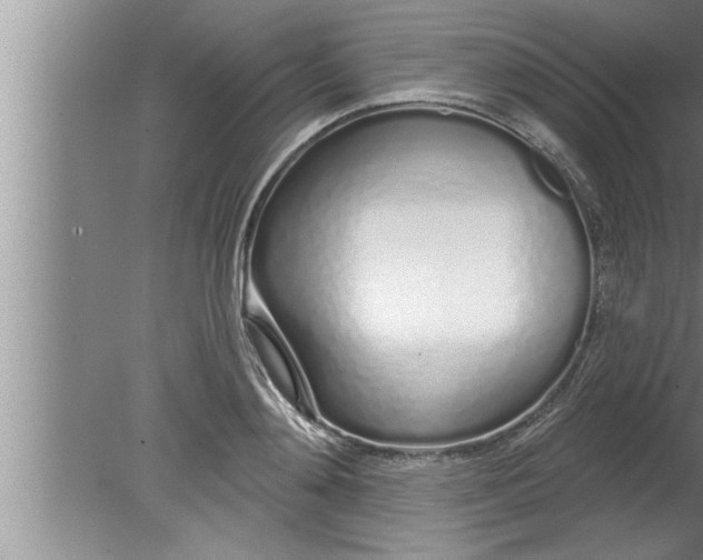 X0000080130892200612302033