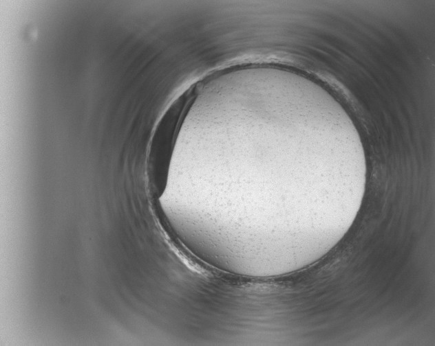 X0000080130894200612302033