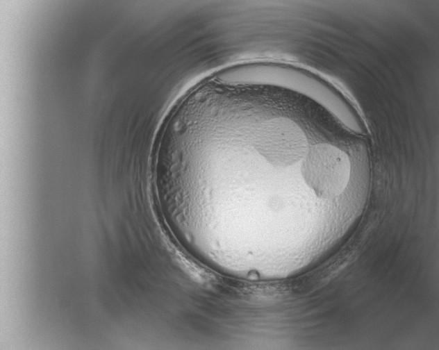 X0000080130895200612302033