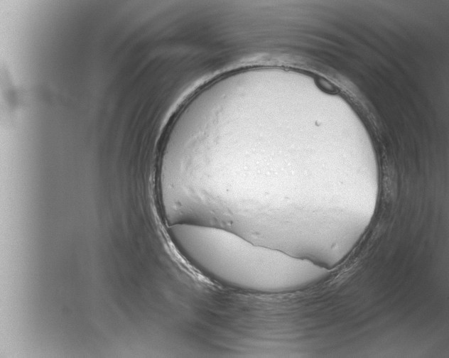 X0000080130896200612302033