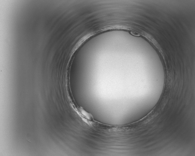 X0000080130898200612302033