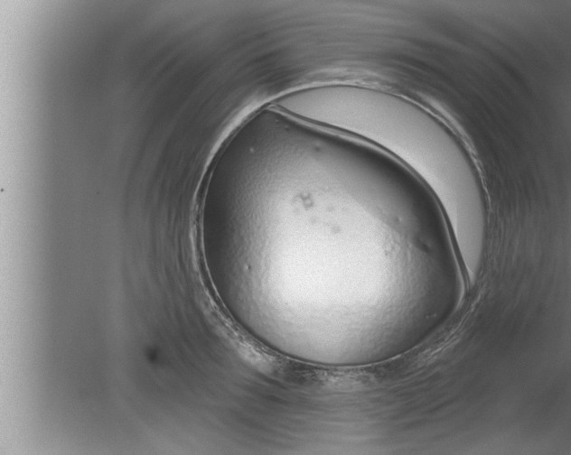 X0000080130899200612302033