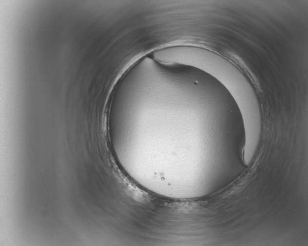 X0000080130900200612302033