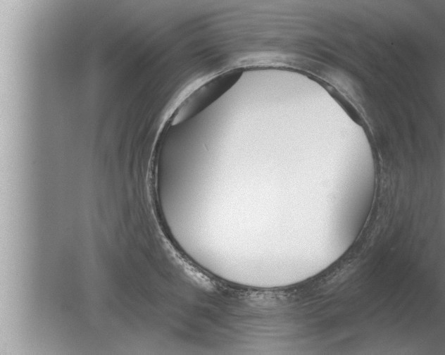 X0000080130901200612302033