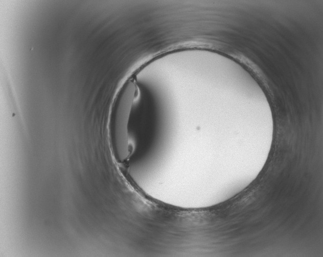 X0000080130902200612302033