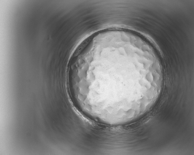 X0000080130903200612302033