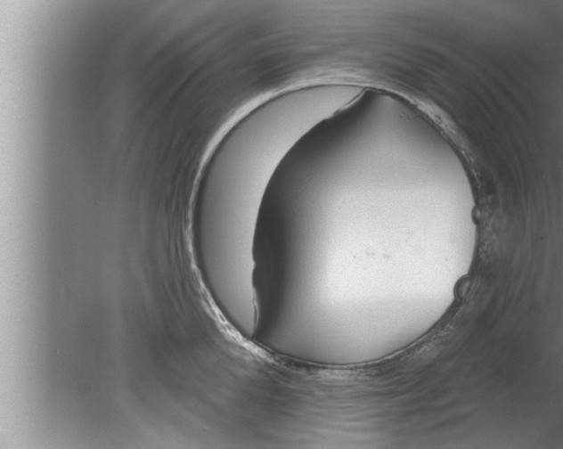 X0000080130904200612302033