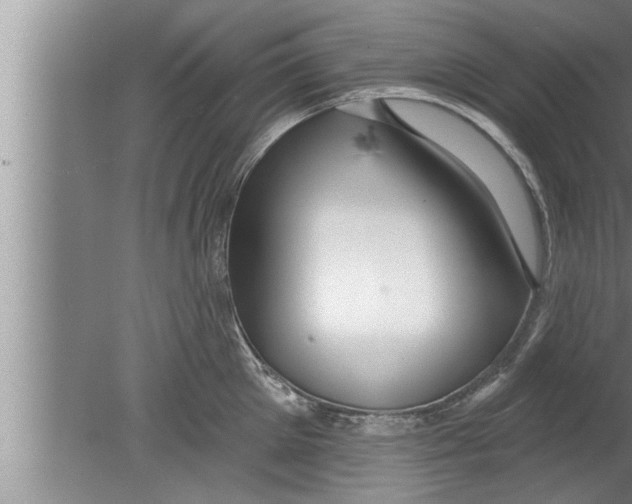 X0000080130905200612302033