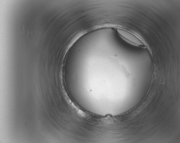 X0000080130906200612302033