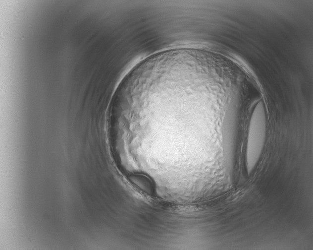 X0000080130907200612302033