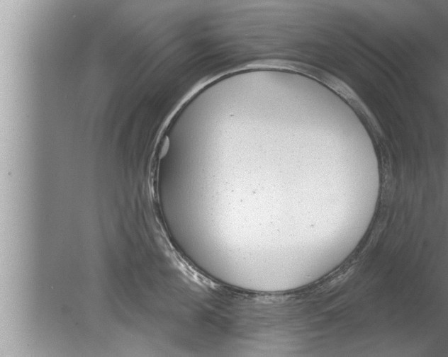 X0000080130908200612302033