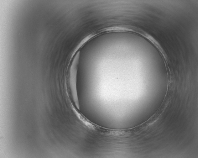 X0000080130909200612302033