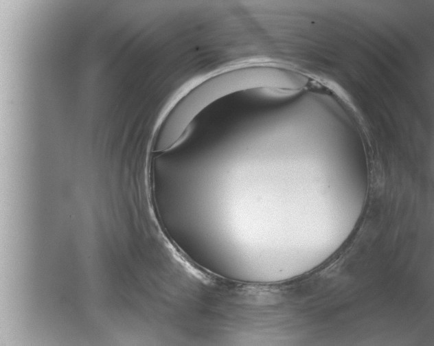 X0000080130910200612302033