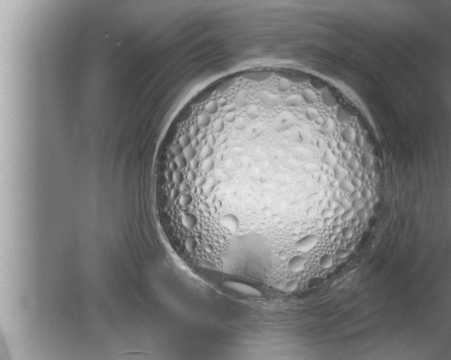 X0000080130911200612302033