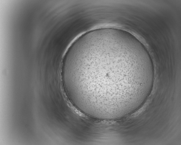 X0000080130912200612302033