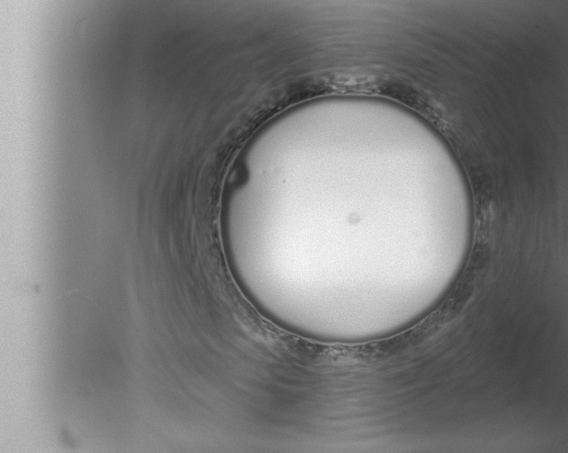 X0000080130913200612302032