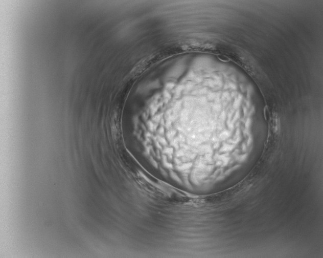 X0000080130915200612302032